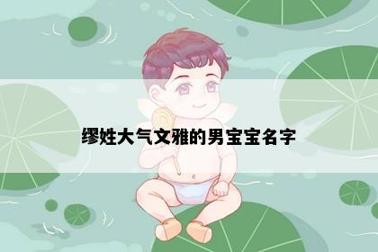 缪姓大气文雅的男宝宝名字