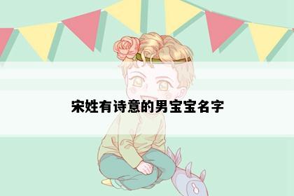 宋姓有诗意的男宝宝名字