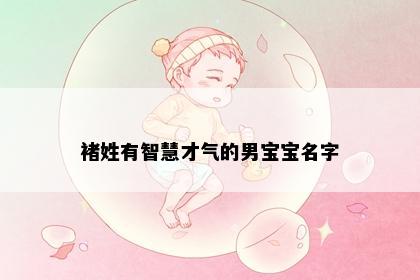 褚姓有智慧才气的男宝宝名字