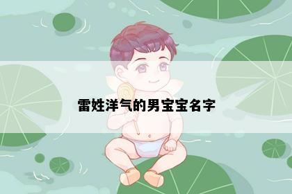 雷姓洋气的男宝宝名字