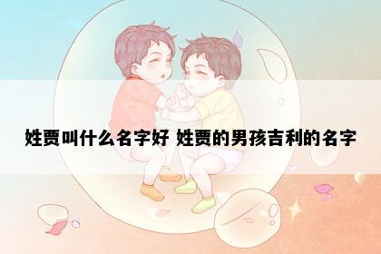 姓贾叫什么名字好 姓贾的男孩吉利的名字