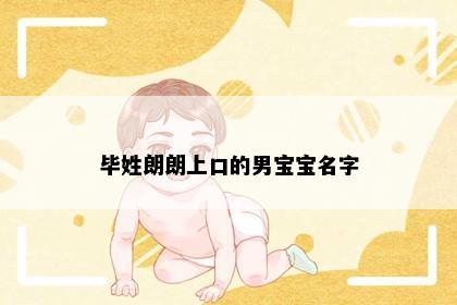 毕姓朗朗上口的男宝宝名字