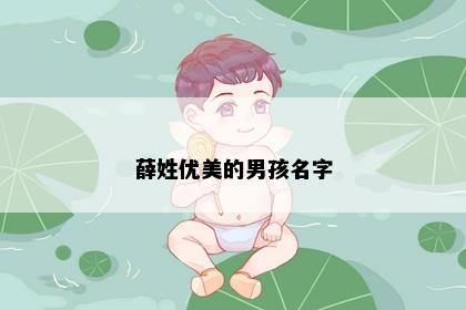 薛姓优美的男孩名字