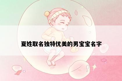 夏姓取名独特优美的男宝宝名字