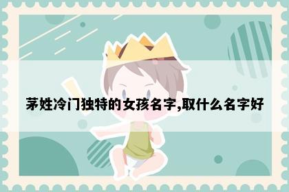 茅姓冷门独特的女孩名字,取什么名字好