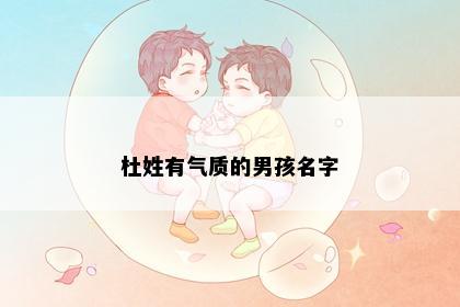 杜姓有气质的男孩名字